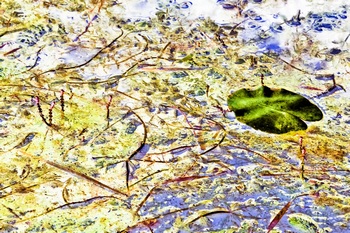 N 050B